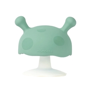 Mombella Gryzak Grzybek Mushroom Eucalyptus