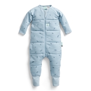 ergoPouch Śpiworek z nogawkami 12-24M 2.5TOG Dragonflies
