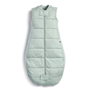 ergoPouch Śpiworek 3-12M 2.5TOG